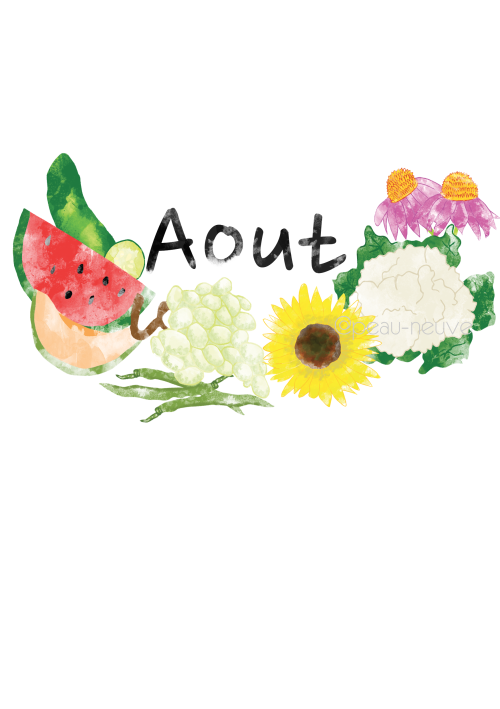 Activités de la première quinzaine d'août